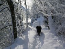 IMG_0962.jpg